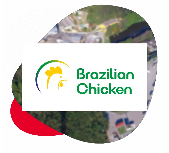 Brazilian Chicken